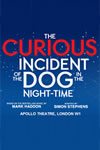 Curious-Incident-of-the-Dog-100x150