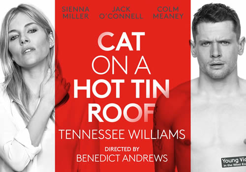 Cat-on-a-Roof_OT