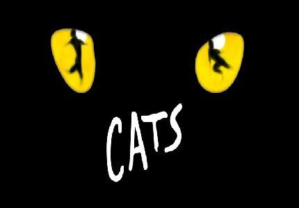 Cats The Musical Rap London Palladium